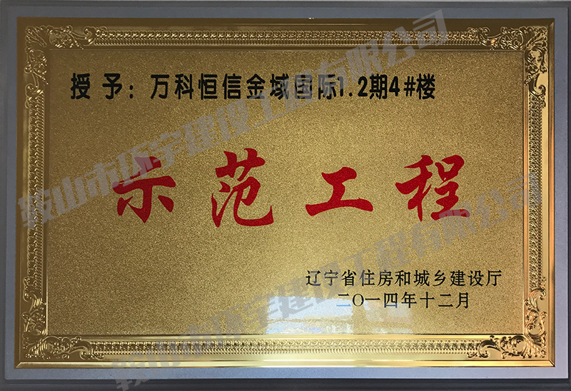 万科恒信金域国际示范工程.jpg